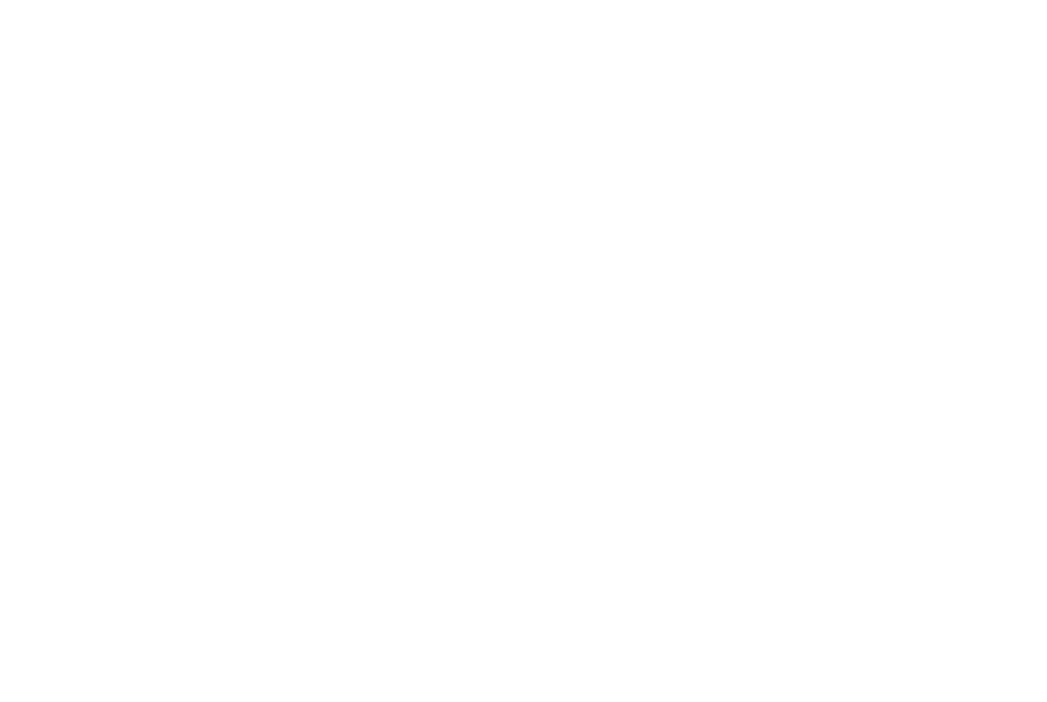 Trillionaire Honey™ logo